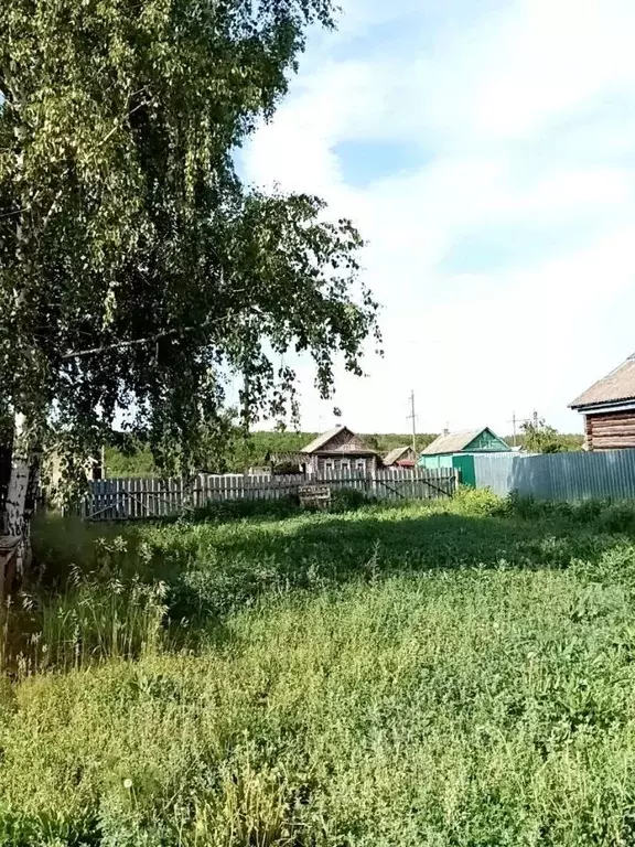 участок в пензенская область, пензенский район, саловский сельсовет, . - Фото 0