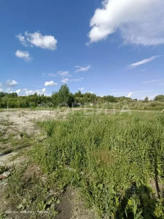 Участок в Тюменская область, Тюмень Поляна садовое общество,  (9.71 ... - Фото 2