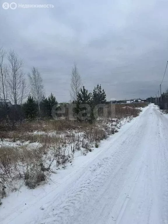 Участок в Тюменский район, СНТ Горошинка (8.29 м) - Фото 1