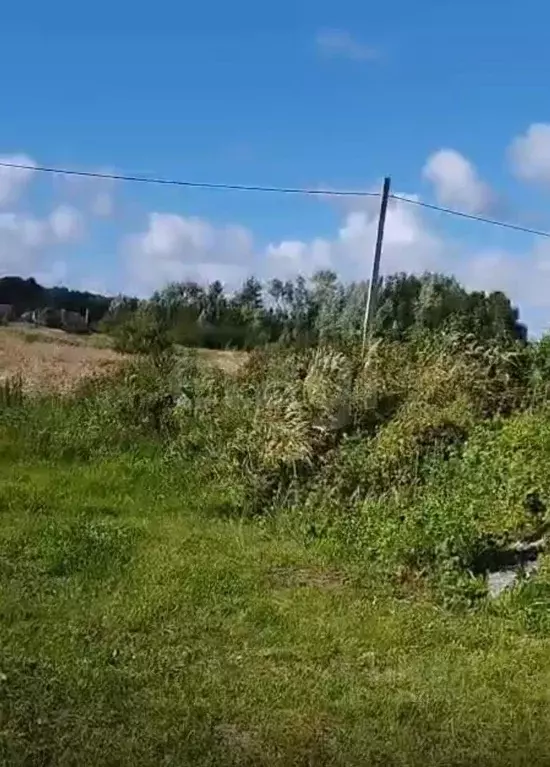 Участок в Калининградская область, Полесский муниципальный округ, пос. ... - Фото 2