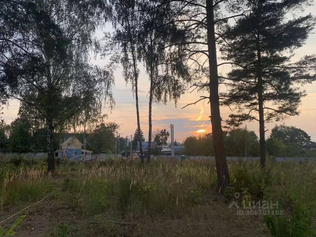 Участок в Московская область, Пушкинский городской округ, Ашукино дп  ... - Фото 0