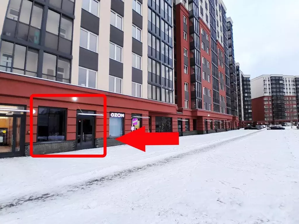 Помещение свободного назначения в Ленинградская область, Мурино ... - Фото 1