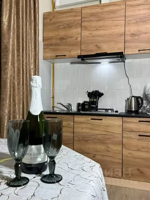1-к кв. Краснодарский край, Сочи Виноградная ул., 224/2 (40.0 м) - Фото 1