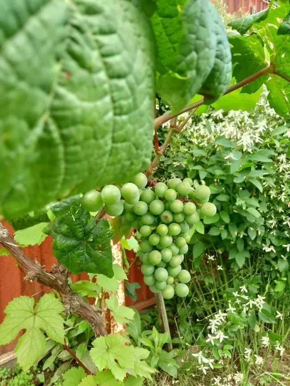 Коттедж в Ярославская область, Ярославский муниципальный округ, пос. ... - Фото 2