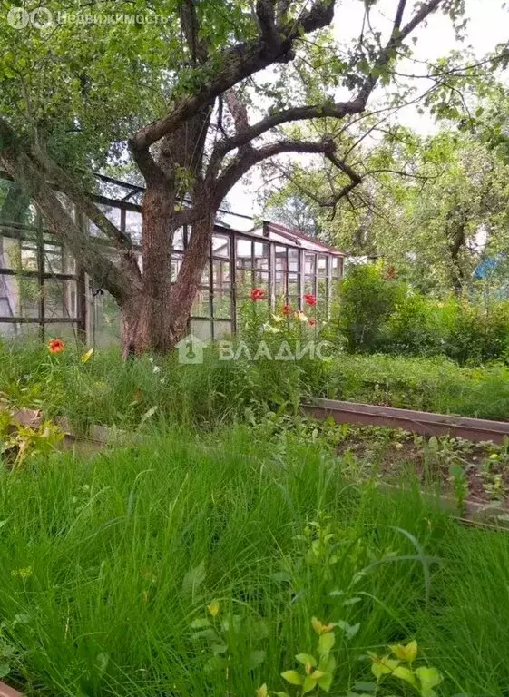 Дом в Владимир, сад № 10 АО ВТЗ, 231 (40 м) - Фото 2