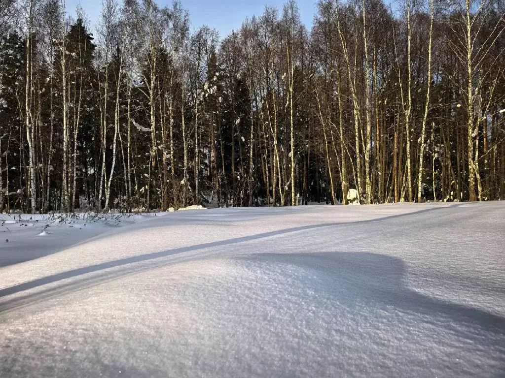 Продается участок в КП Елкино - Фото 1