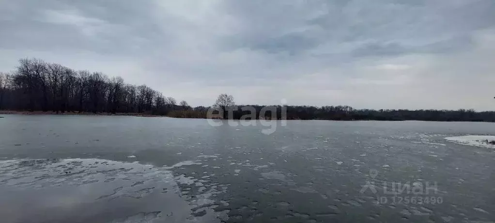 Участок в Воронежская область, Рамонское городское поселение, ... - Фото 1