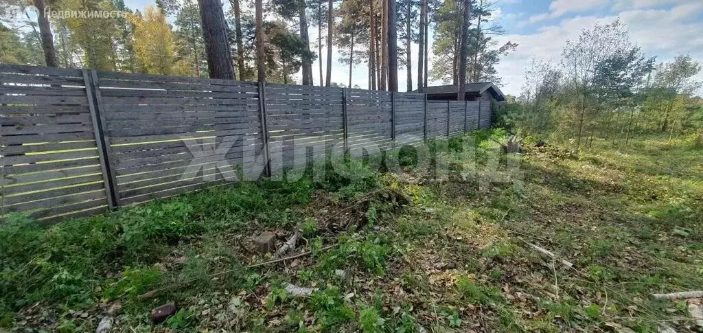 Участок в посёлок Сосновка, Кленовая улица (25.68 м) - Фото 1