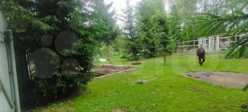 Участок 10 сот. (СНТ, ДНП) - Фото 0