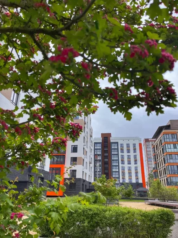 Продаётся 1-к квартира, 42.4 м - Фото 0