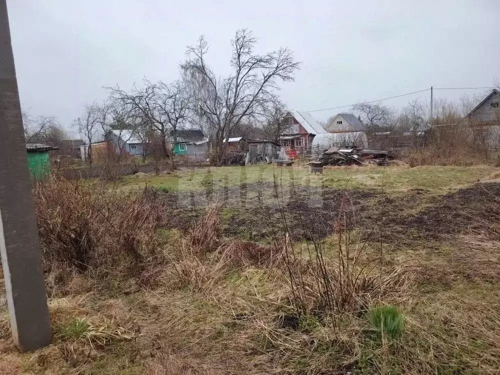 Участок в Вологодская область, Сокол Майский-1 садоводческое ... - Фото 1