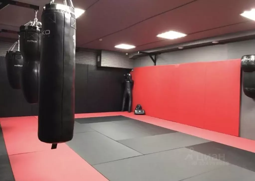 Помещение свободного назначения в Иркутская область, Иркутск ул. Карла ... - Фото 2