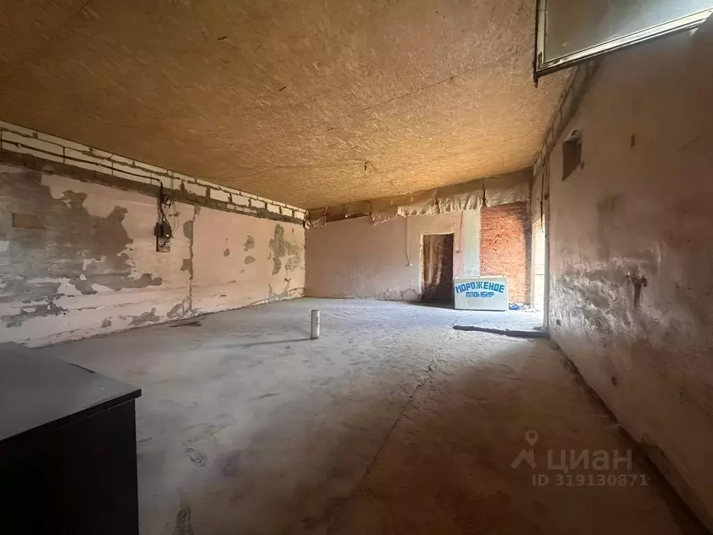 Помещение свободного назначения в Владимирская область, Суздальский ... - Фото 1