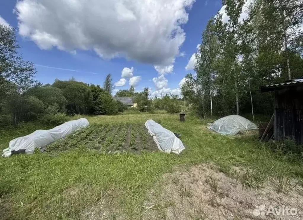 Участок в Псковская область, Псковский район, Торошинская волость, ... - Фото 1