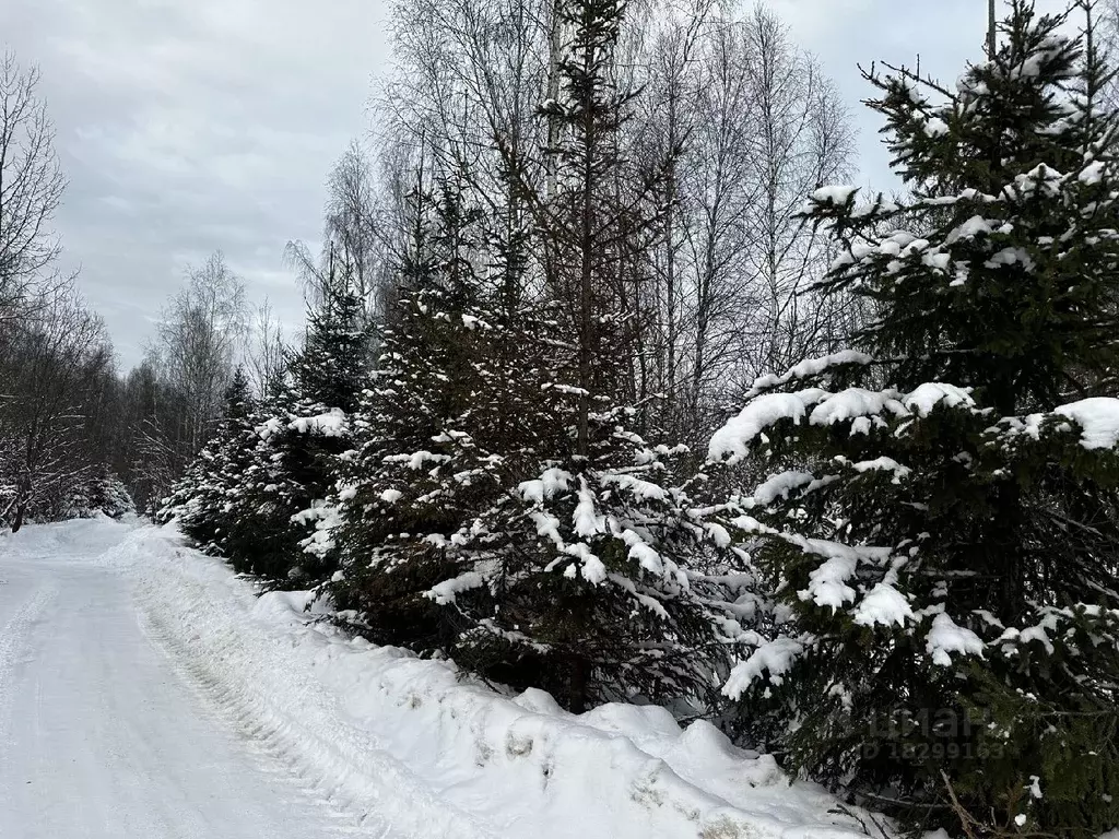 Участок в Московская область, Дмитровский городской округ, ... - Фото 1