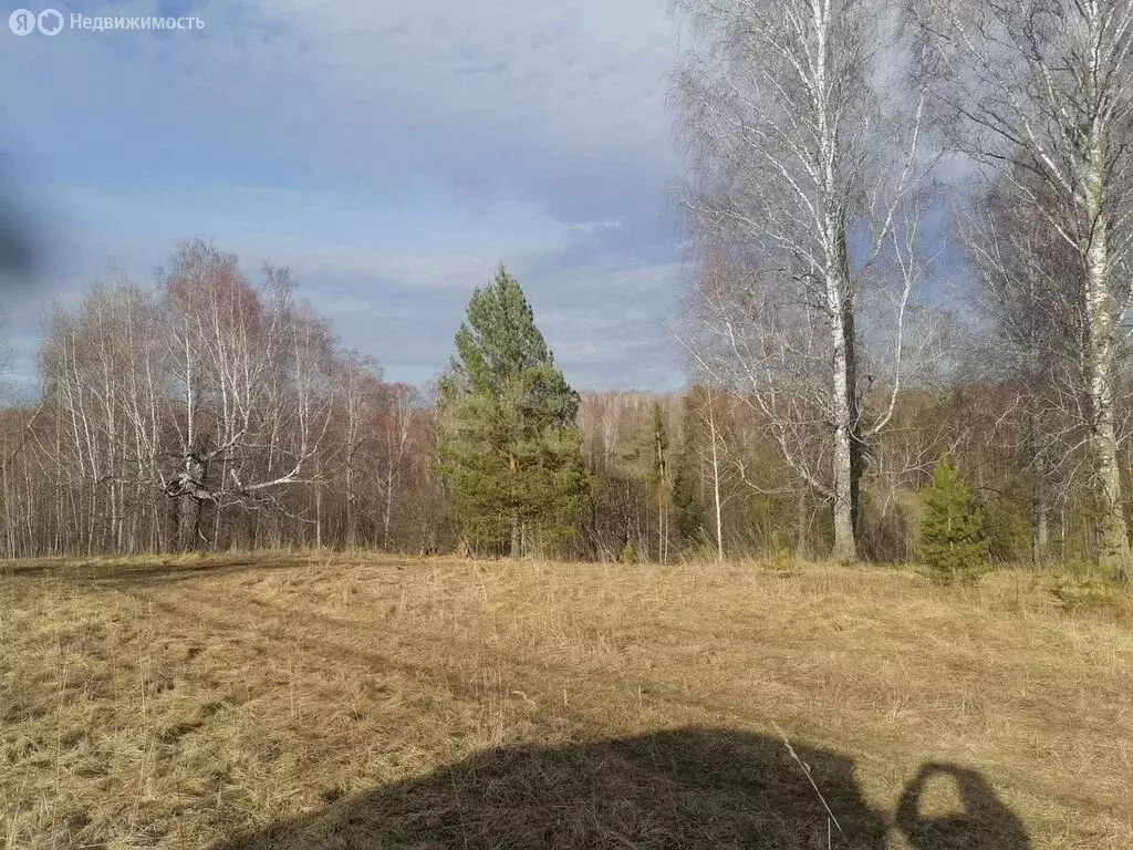 Участок в село Корнилово, микрорайон Красная горка 2, Благовещенская ... - Фото 1