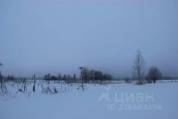 Участок в Московская область, Шаховская муниципальный округ, д. ... - Фото 1