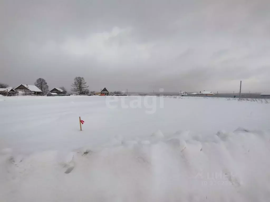 Участок в Марий Эл, Медведевский район, Азяковское с/пос, д. Шеклянур ... - Фото 2