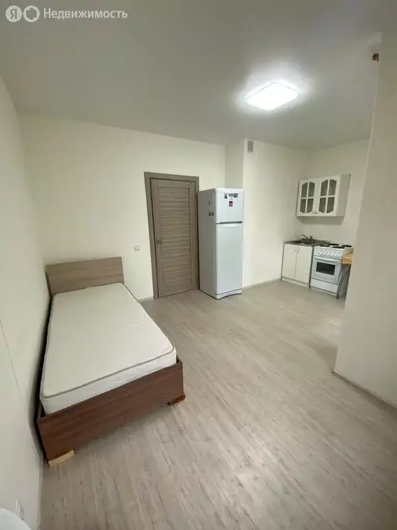 Квартира-студия: посёлок Шушары, Старорусский проспект, 5к1 (21.5 м) - Фото 2