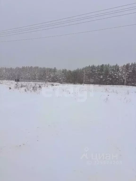 Участок в Воронежская область, Рамонский район, Ступинское с/пос, с. ... - Фото 1