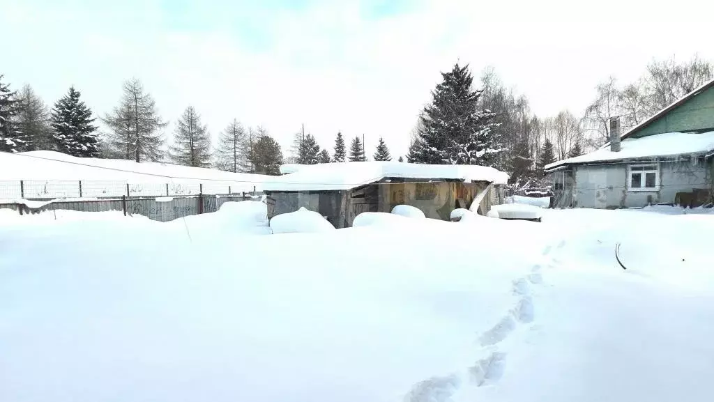 Участок в деревня Сколково, 65 (7 м) - Фото 2