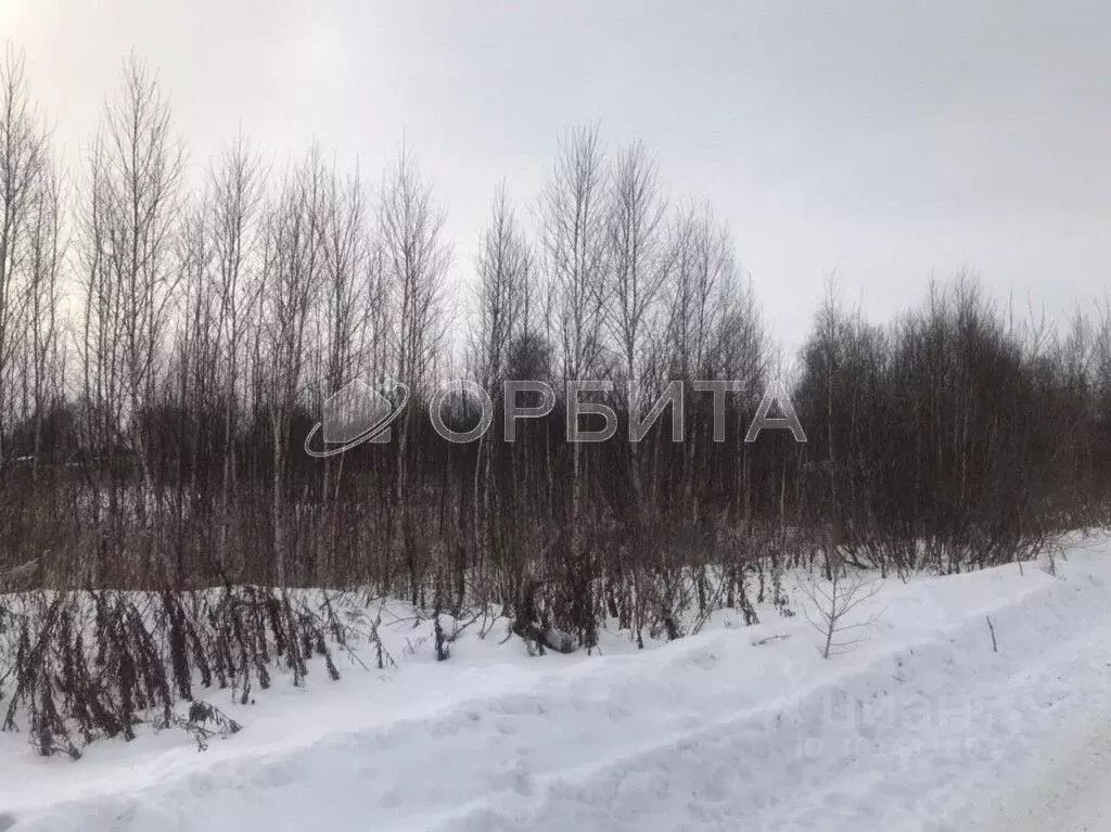 Участок в Тюменская область, Нижнетавдинский район, Сотовик садовое ... - Фото 0