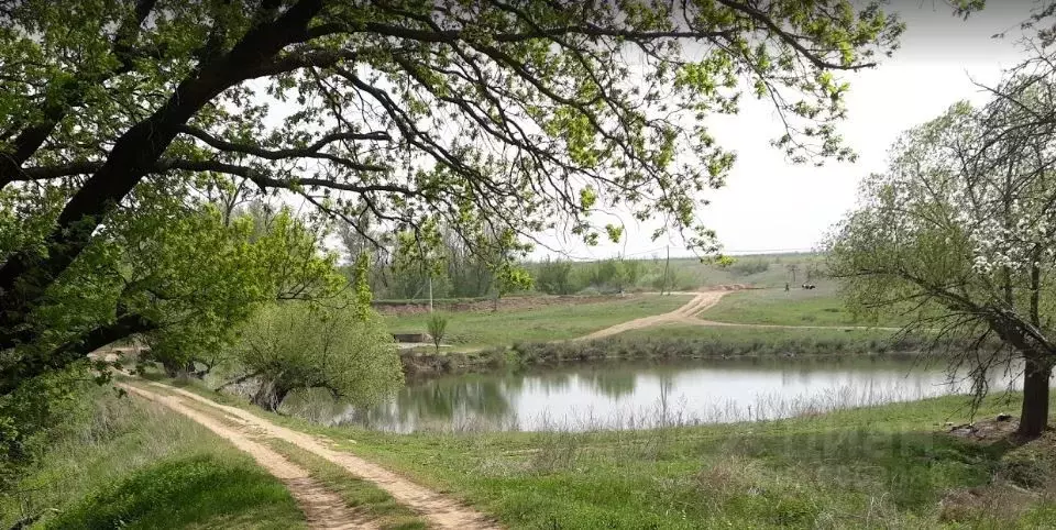 Участок в Волгоградская область, Волгоград Хутор Каменный Буерак тер., ... - Фото 0