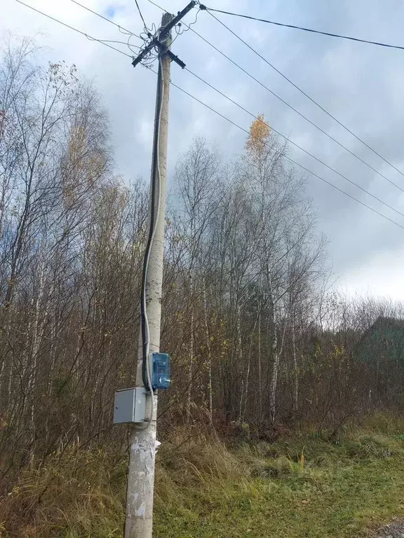 Участок в Московская область, Орехово-Зуевский городской округ, Ивушка ... - Фото 1