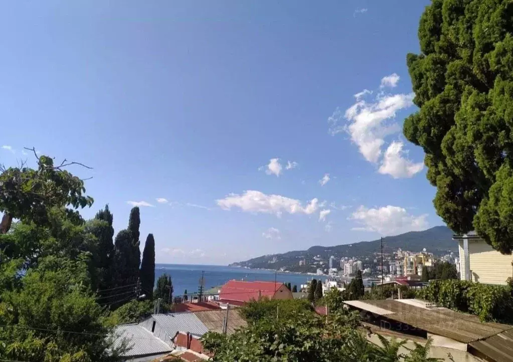 Студия Крым, Ялта ул. Средне-Слободская, 16 (24.0 м) - Фото 1