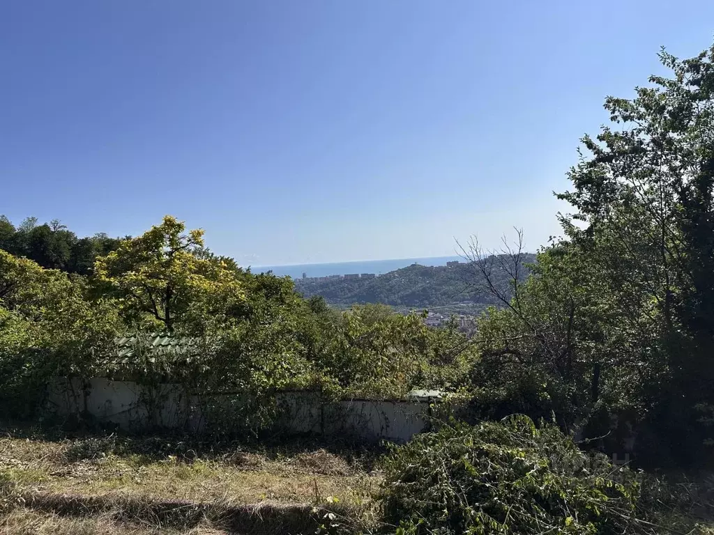 Участок в Краснодарский край, Сочи городской округ, с. Верхний Юрт, ... - Фото 2