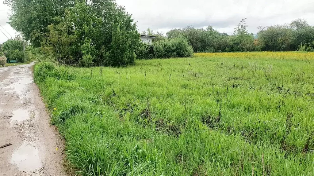 Участок в Владимирская область, Суздальский район, Боголюбовское ... - Фото 0