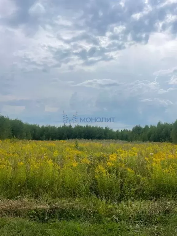 Участок в Нижегородская область, Богородский муниципальный округ, д. ... - Фото 0