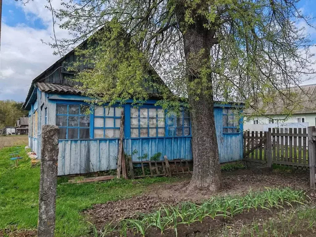Дом в Калужская область, с. Хвастовичи  (89 м) - Фото 0