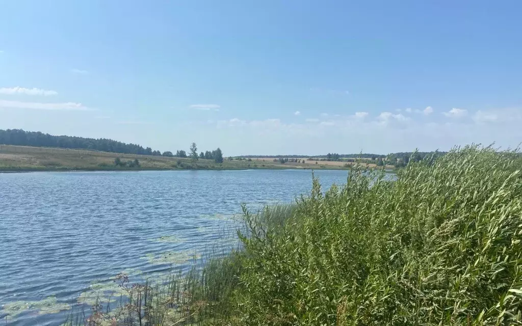Участок в Московская область, Серебряные Пруды муниципальный округ, д. ... - Фото 1