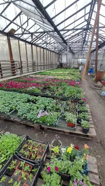 Производственное помещение в Челябинская область, Копейск Пластмасс-3 ... - Фото 2