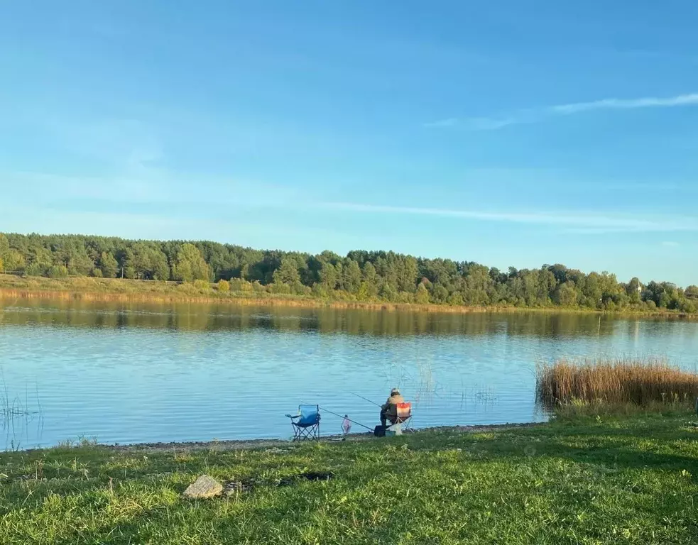 Участок в Псковская область, Псковский район, Тямшанская волость, д. ... - Фото 1