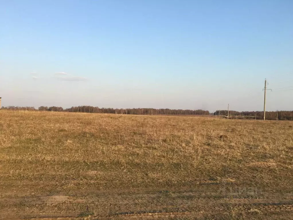 Участок в Владимирская область, Александровский муниципальный округ, ... - Фото 1