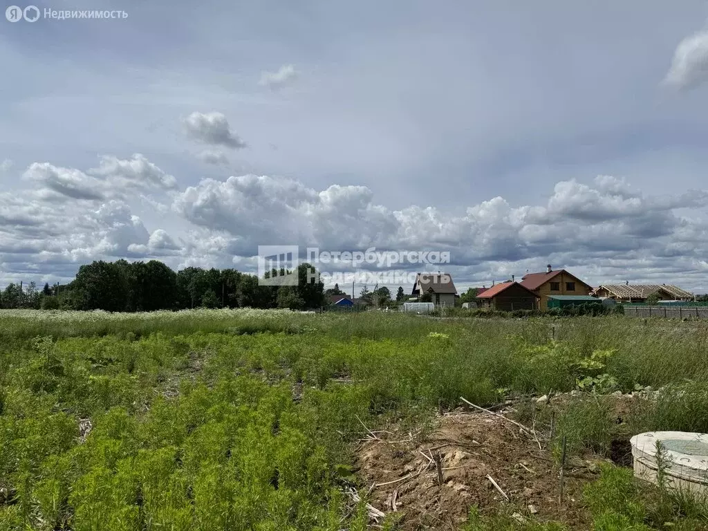 Участок в Скребловское сельское поселение, деревня Заорешье, Луговая ... - Фото 0