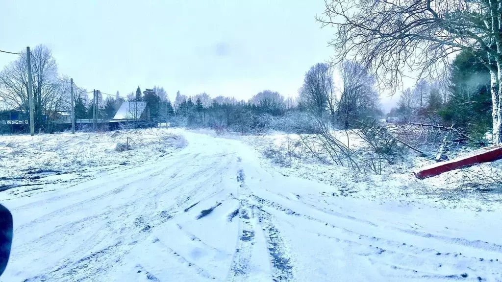 Участок в Ленинградская область, Ломоносовский район, Копорское с/пос, ... - Фото 1