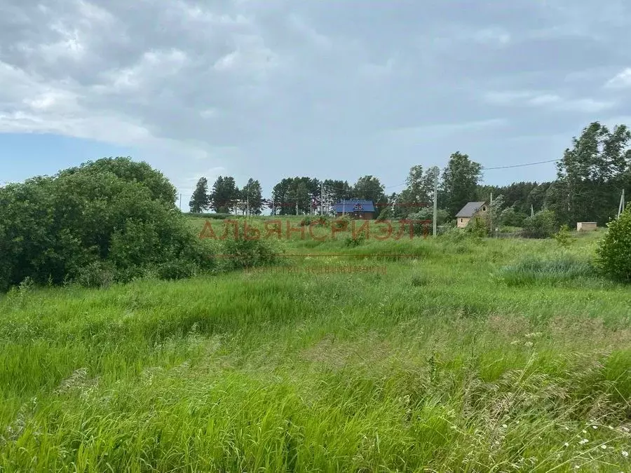 Участок в Новосибирская область, Искитимский район, Лесное ДНТ  (9.5 ... - Фото 2