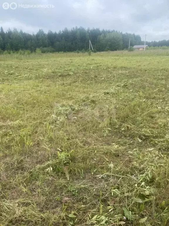 Участок в муниципальное образование Киров, посёлок Захарищевы (14 м) - Фото 1