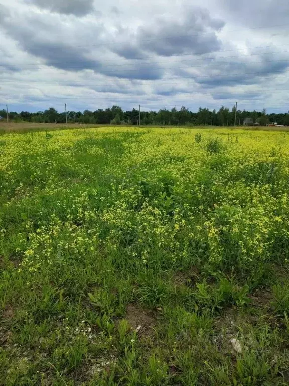 Участок в Курская область, Курский район, Камышинский сельсовет, д. ... - Фото 0