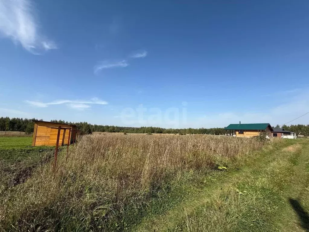 Участок в Костромская область, Красносельский район, Шолоховское ... - Фото 0