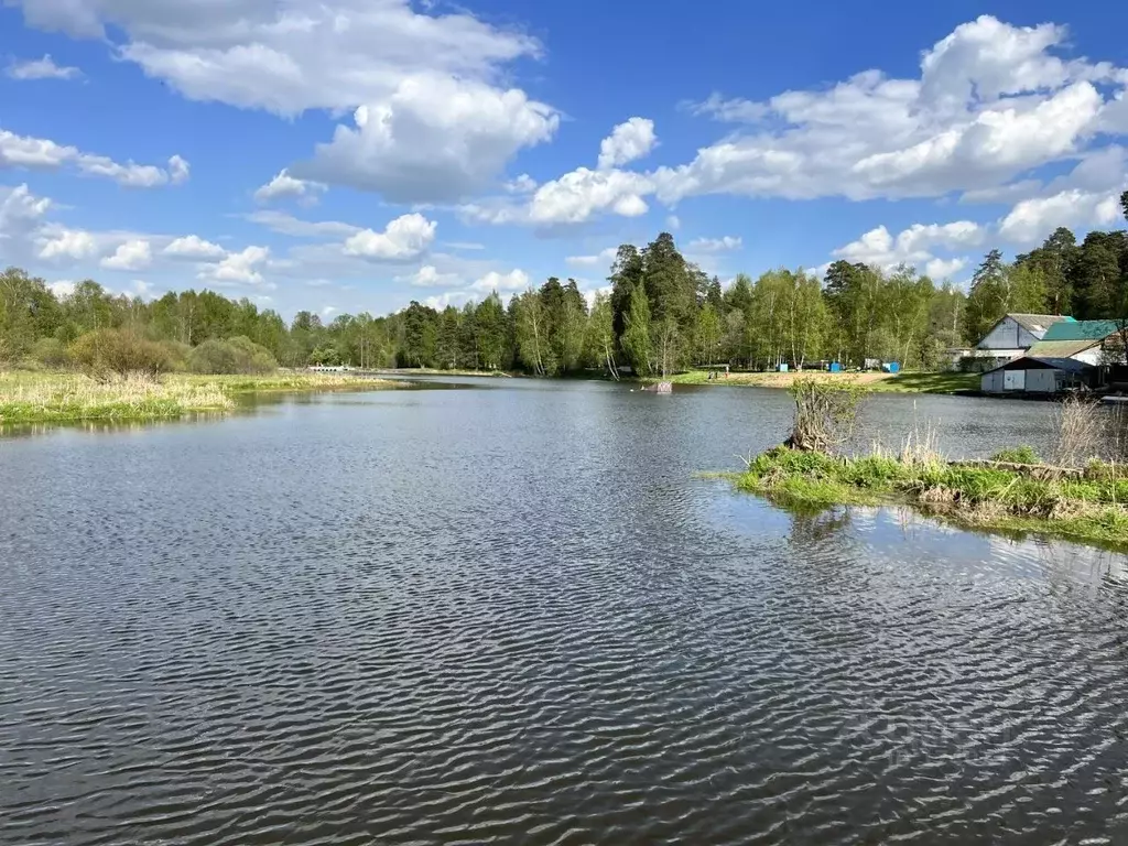 Участок в Московская область, Пушкинский городской округ, д. Костино ... - Фото 2