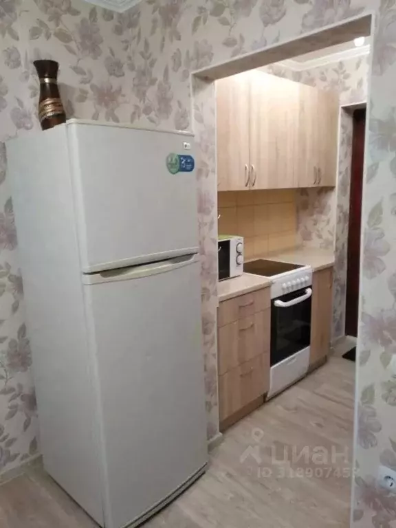 1-к кв. Калининградская область, Калининград Красная ул., 137 (20.0 м) - Фото 1