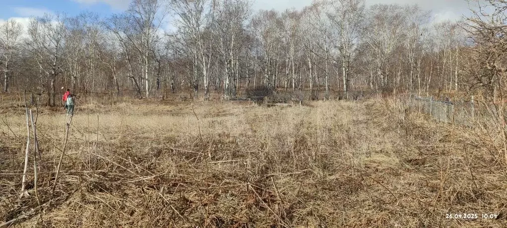 Участок 12 сот. (ИЖС) - Фото 0