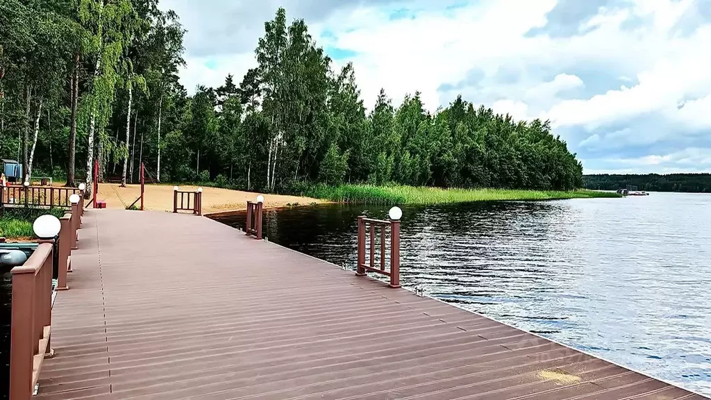 Участок в Ленинградская область, Приозерский район, Запорожское с/пос, ... - Фото 2