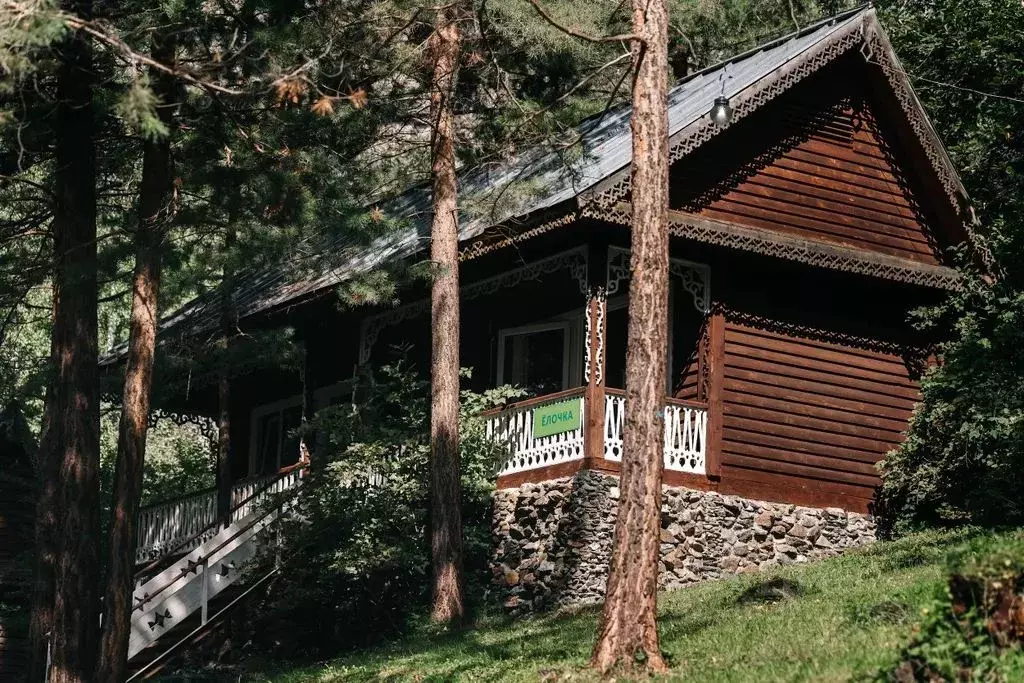 Дом в Алтай, Майминский район Р-256 Чуйский тракт, 469-й км, 1 (12 м) - Фото 1