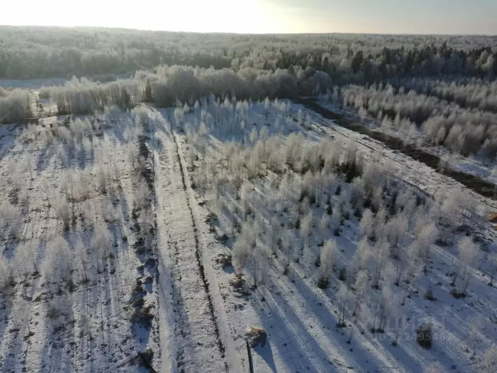 Участок в Вологодская область, д. Жилино ул. 4-я (8.0 сот.) - Фото 1