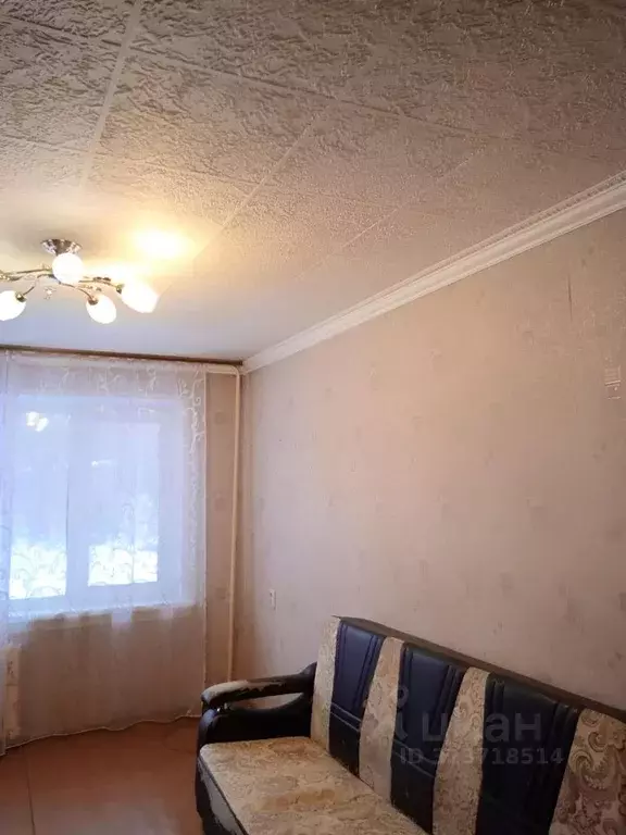 2-к кв. Новосибирская область, Новосибирск ул. Фрунзе, 59/2 (49.3 м) - Фото 2